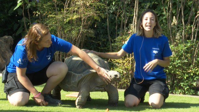 Islas Oceánicas y Animal Ambassator, nuevas iniciativas Oceanogràfic