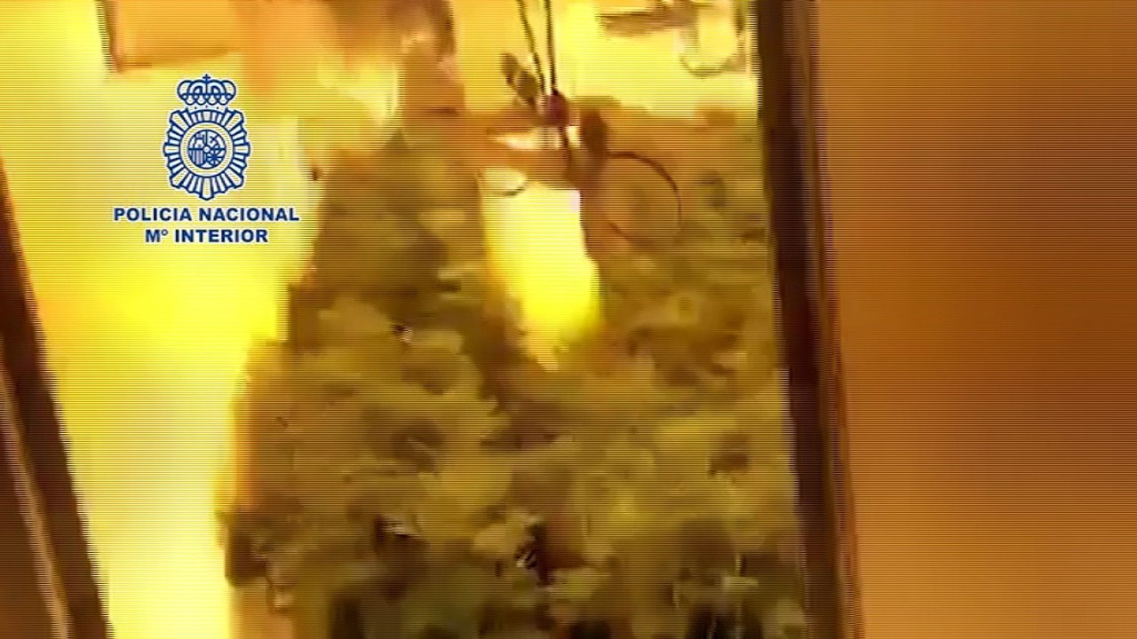 Cuatro detenidos por presunta implicación en desaparición