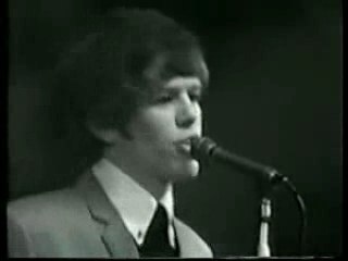 Hermans Hermits - Wonderful World