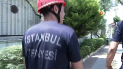 Yurt çatısına sıkışan yavru martıyı İBB itfaiyesi kurtardı