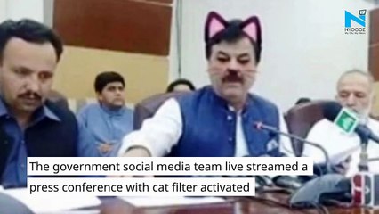 Pak govt does presser with cat filter, gets trolled on social media