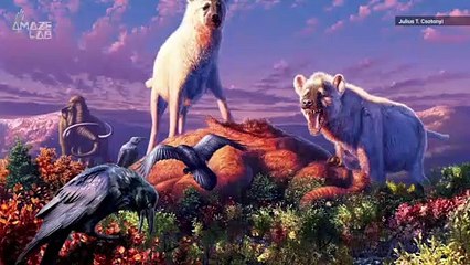 Hyenas Roamed the Arctic During the Last Ice Age, Study Finds