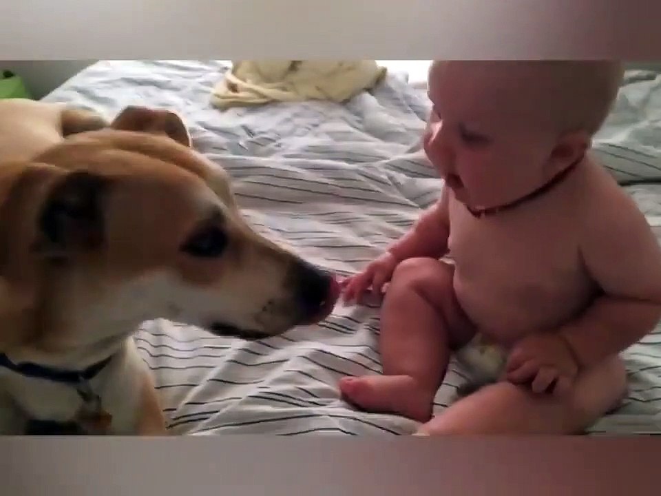 Baby thrilled to receive kisses from doggy friend