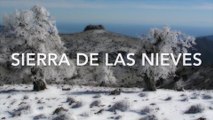 Aprobada la declaración del Parque Nacional de la Sierra de las Nieves