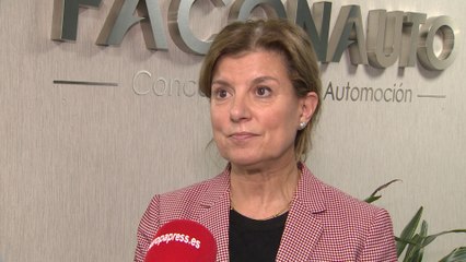 Faconauto destaca el "clima negativo" alrededor del automóvil