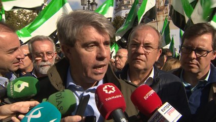 Garrido asegura que la Comunidad recurrirá el "absurdo proyecto" de Madrid Central