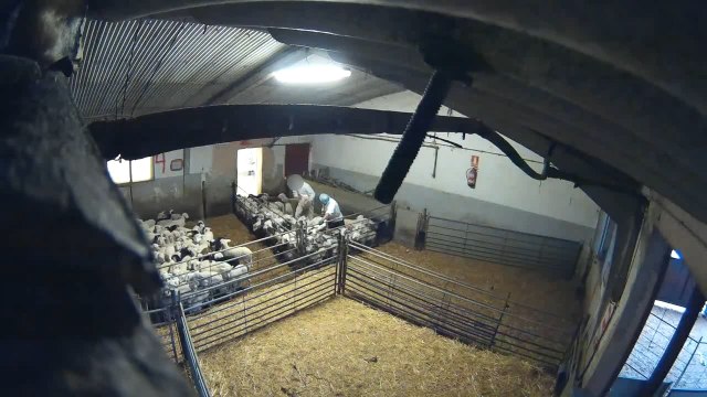 Nuevas imágenes del matadero de Segovia