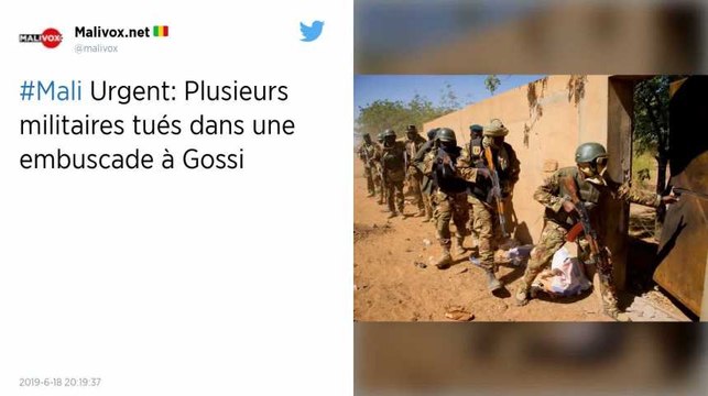 Mali. Au moins 20 morts dans des attaques de deux villages dogons