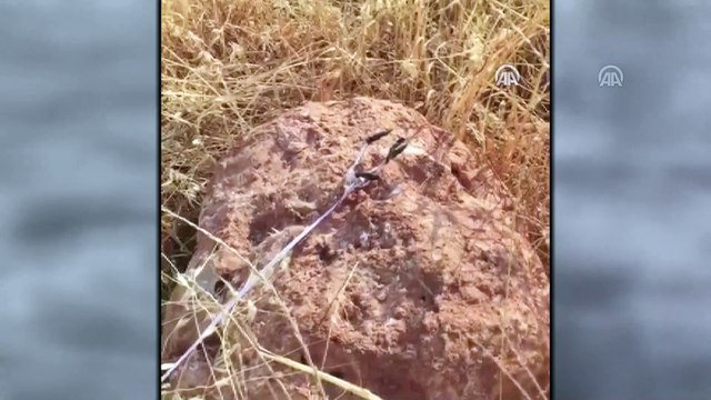 Güvenlik güçlerinin geçiş güzergahına tuzaklanan patlayıcı imha edildi - ŞIRNAK