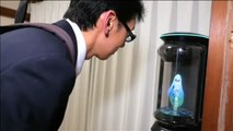 Un japonés se casa con un holograma virtual