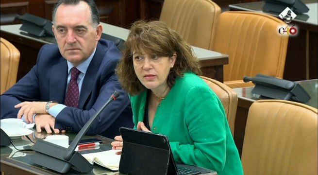 Crespo confirma que él mismo repartió sobresueldos en el PP