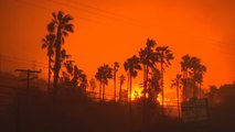 Ascienden a 25 los muertos en los incendios de California