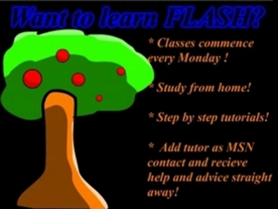 Learn Flash Online