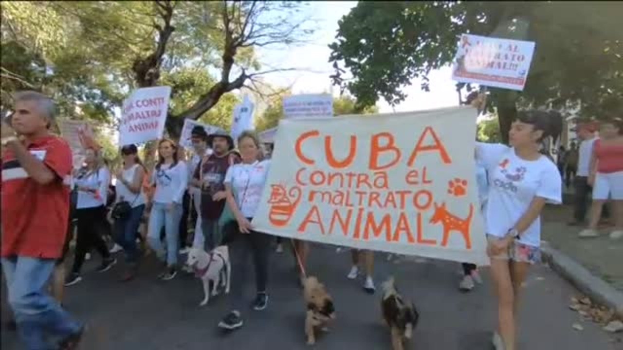 En Cuba se manifiestan por los derechos de los animales
