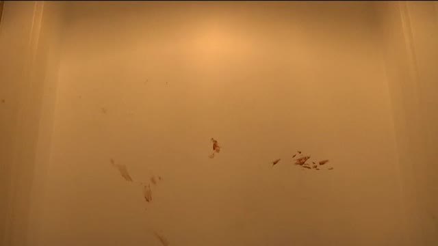 Un desahucio lleva al Sindicato de Vecinos del Raval al enfrentamiento con los Mossos