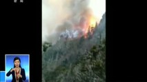 Mueren al menos 30 bomberos en un gran incendio forestal en China