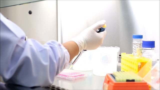 Un diagnóstico a tiempo es fundamental para superar el cáncer de colon