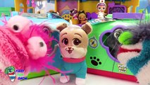 Puppy Dog Pals Bingo Rolly Pet Crate Playset Go to Vet Groomed and Eat
