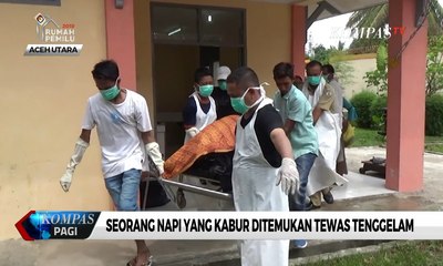 Napi Rutan Lhoksukon yang Kabur Ditemukan Tewas Tenggelam