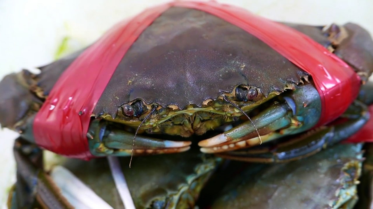 Japanese Street Food - GIANT MUD CRABS Crab Dumplings Chilli Okinawa Seafood Japan