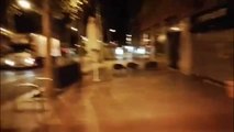 Tres jabalíes en plena Barcelona