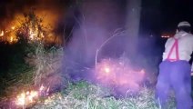 Bombeiros combatem incêndio em vegetação na Região do Claudete