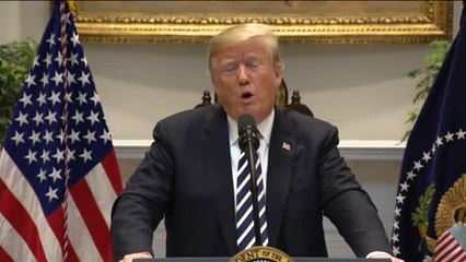 Trump criminaliza a la caravana de migrantes a 4 días para las legislativas en EEUU