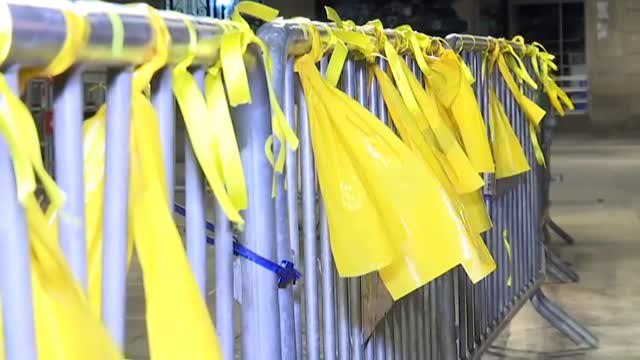 Siguen los lazos amarillos en el Palau de la Generalitat