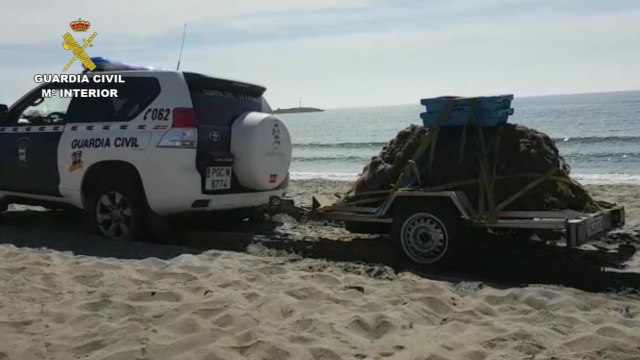 Intervenidos más de 500 kilos de pescado sin trazabilidad