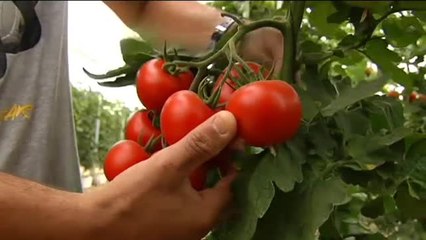La importancia de la "huella hídrica" en el Día Mundial del Agua
