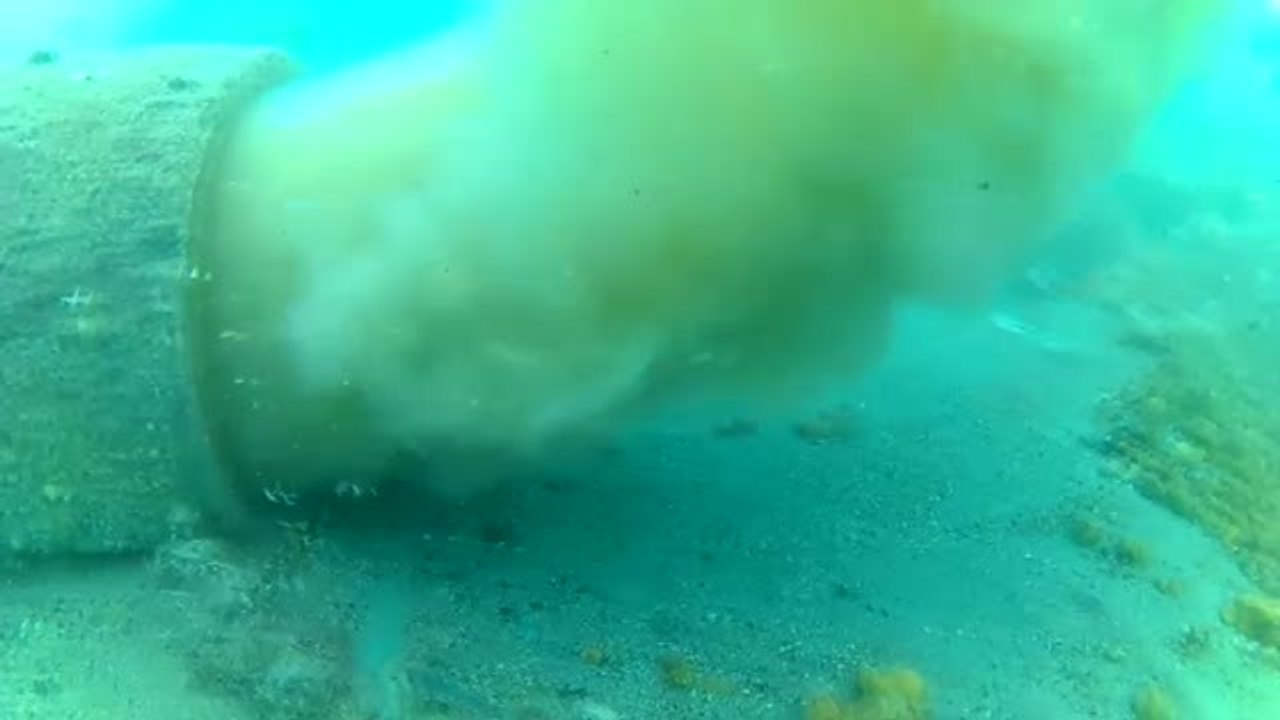 Los vertidos fecales ponen en peligro el lecho marino de la comarca de la Axarquía