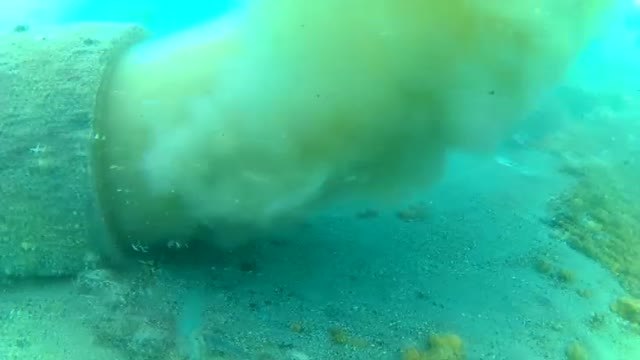 Los vertidos fecales ponen en peligro el lecho marino de la comarca de la Axarquía