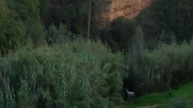 El violador de Martorell confiesa que agredió e intentó matar a una mujer en un permiso penitenciario