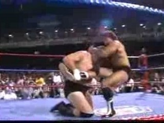 Rick Martel vs Stan Hansen