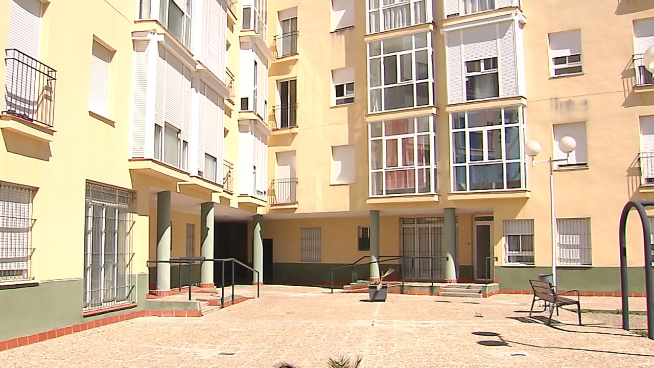 Vecinos denuncian presencia de ratas, pulgas y arañas en sus casas