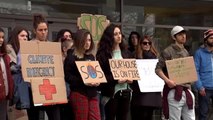 Miles de jóvenes luchan contra el cambio climático