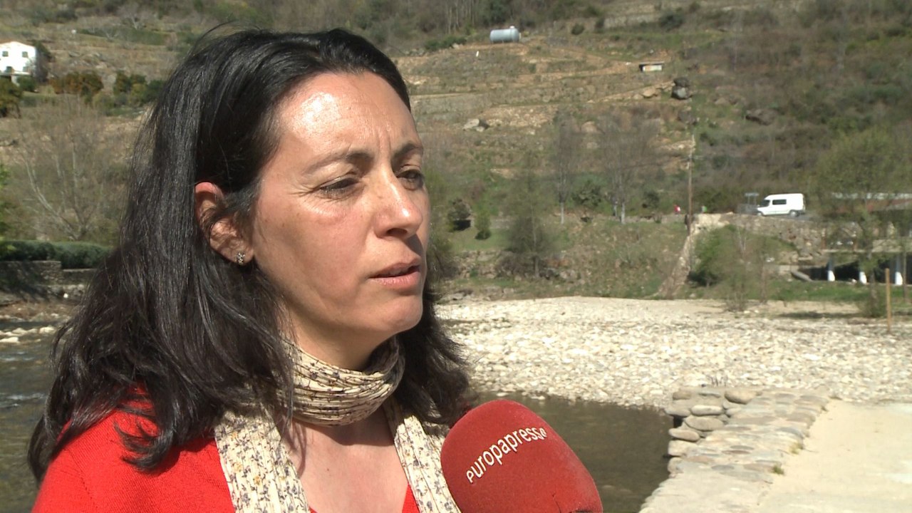 Arranca la floración de los cerezos en el Valle del Jerte