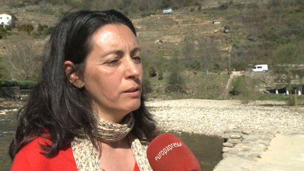 Arranca la floración de los cerezos en el Valle del Jerte