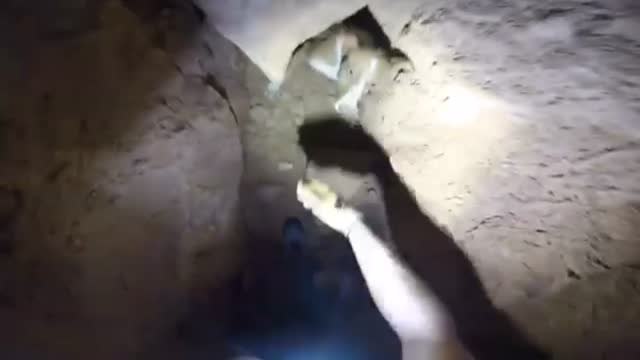 Rescatan a un perro perdido que se había caído en una cueva en Almería