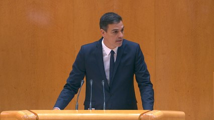 Sánchez llama a lograr el objetivo 'hambre cero'