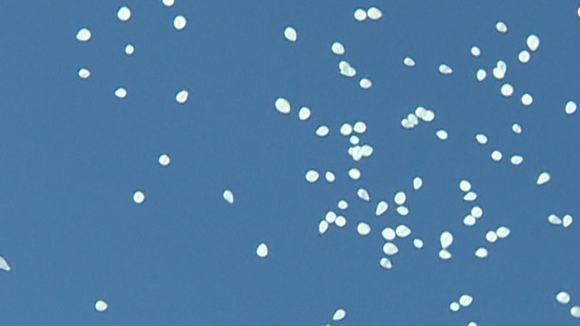 La AVT lanza 192 globos blancos en memoria de las víctimas