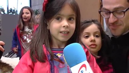 Los mejores mastines del Pirineo se dan cita en Teruel