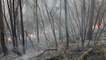 Investigan a cuatro personas como responsables de los incendios en Cantabria