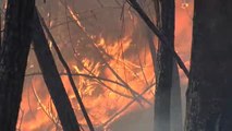 Dieciocho incendios continúan activos en Cantabria