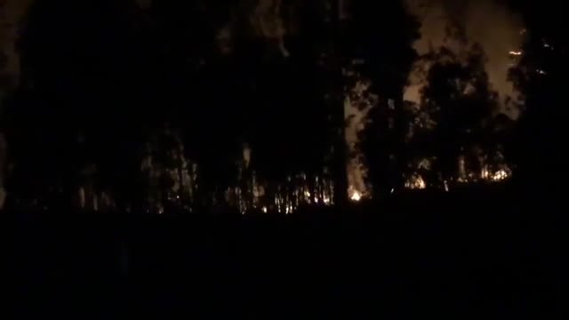 Sube a 97 el número de incendios forestales en Asturias