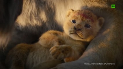 El ciclo sin fin resuena en el nuevo tráiler de El Rey León
