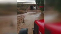 BURSA Yenişehir Ovası'nda 70 bin dönüm ekili alan 'su' altında kaldı