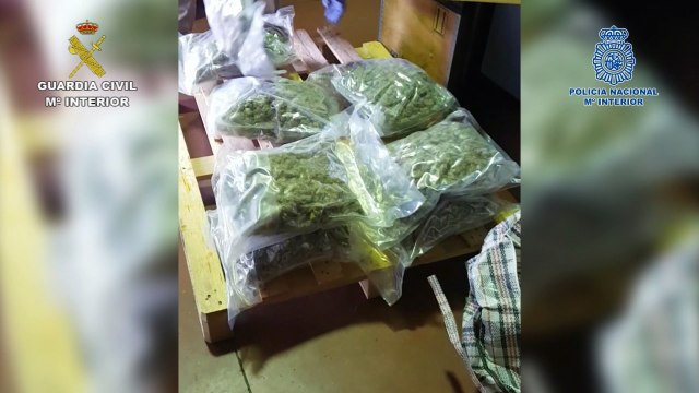 Detenidos dos narcotraficantes por enviar droga por mensajería desde Málaga