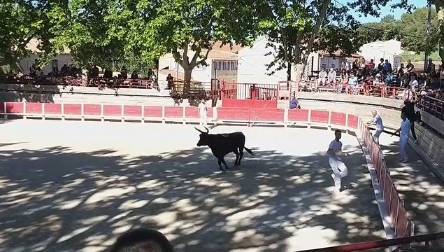 Beauvoisin : course de l'avenir et bandido dimanche 16 juin organisées par Lou Cosaque