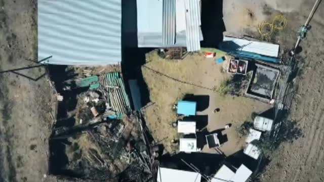 Desahuciado el dueño de una perrera ilegal denunciado por maltrato animal